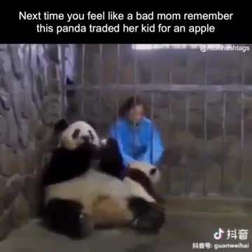 Viral video today shorts 27funny