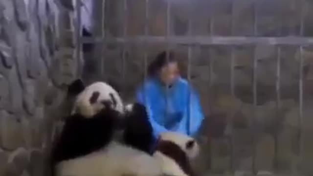 Viral video today shorts 27funny