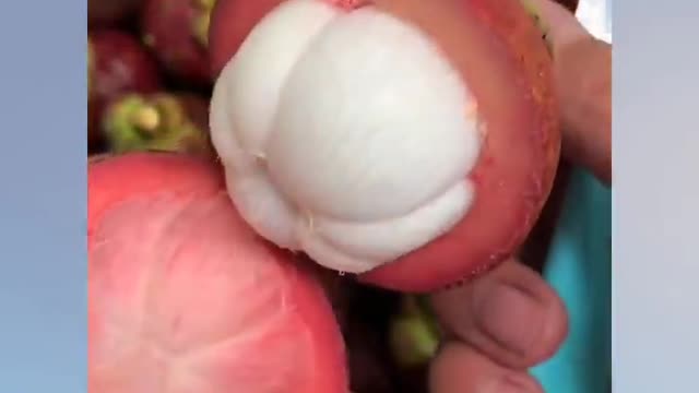 FARM FRESH NINJA FRUIT CUTTING Part 3