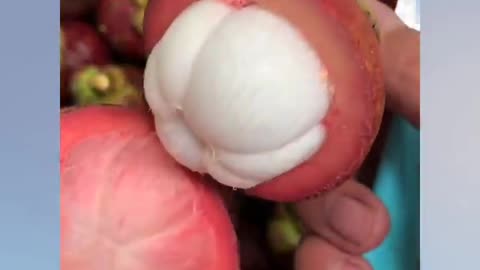 FARM FRESH NINJA FRUIT CUTTING Part 3