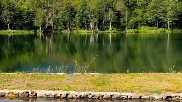 Beautiful Nature