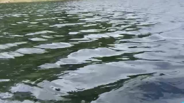 Patriot Fishing part 6-3