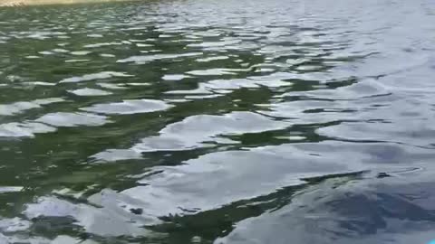 Patriot Fishing part 6-3