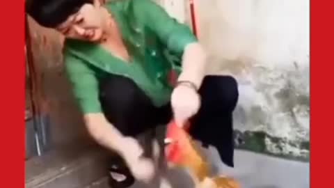 Congelada funny🤑 video funny / dog funny/ dogs funny