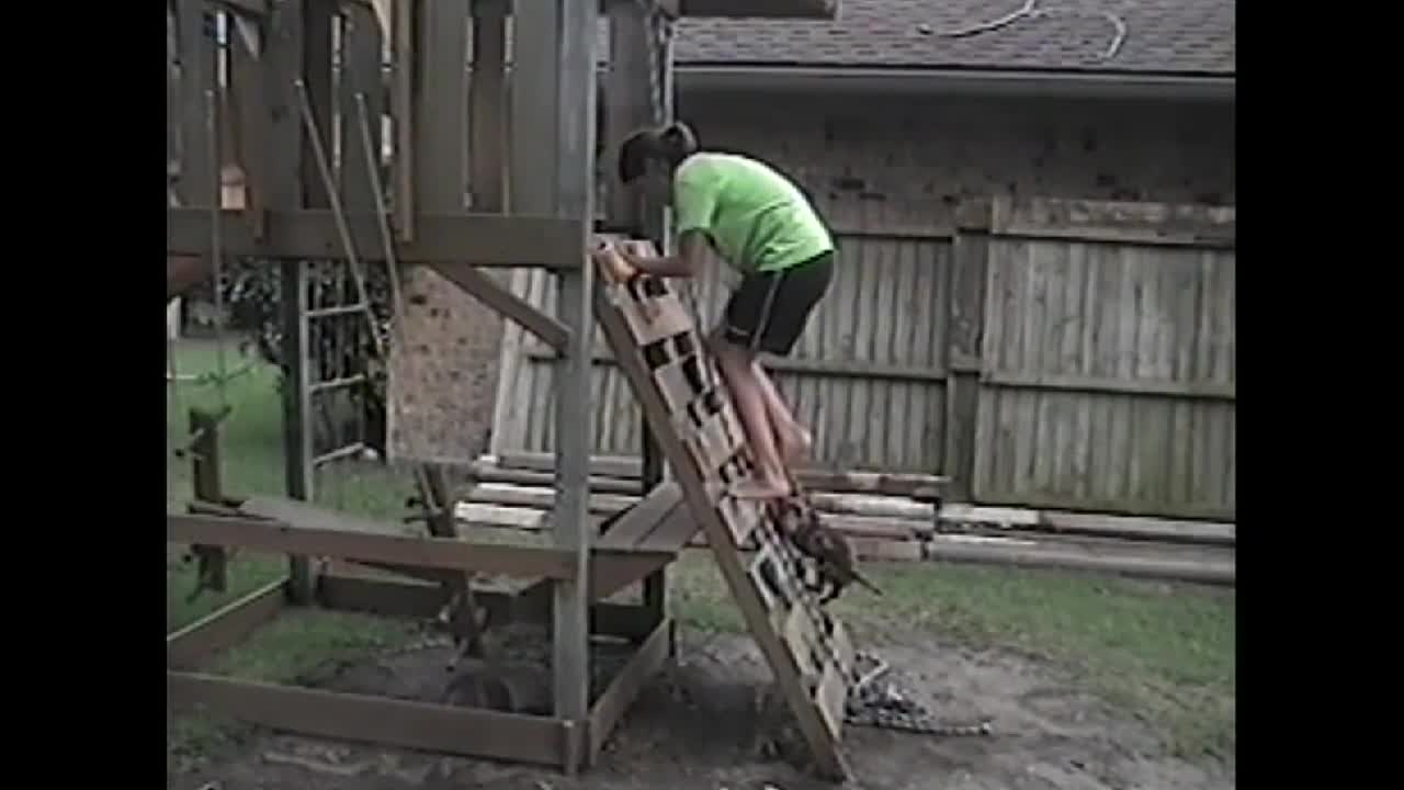 Dachshund Follows Girl On Play Structure And Down A Slide