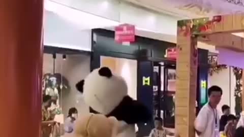 Funny panda video (2)😂😂😂😂😂