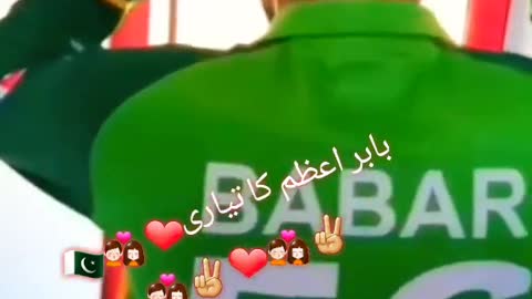cricket fans-video cricket lovers-video #cricket #cricketlover