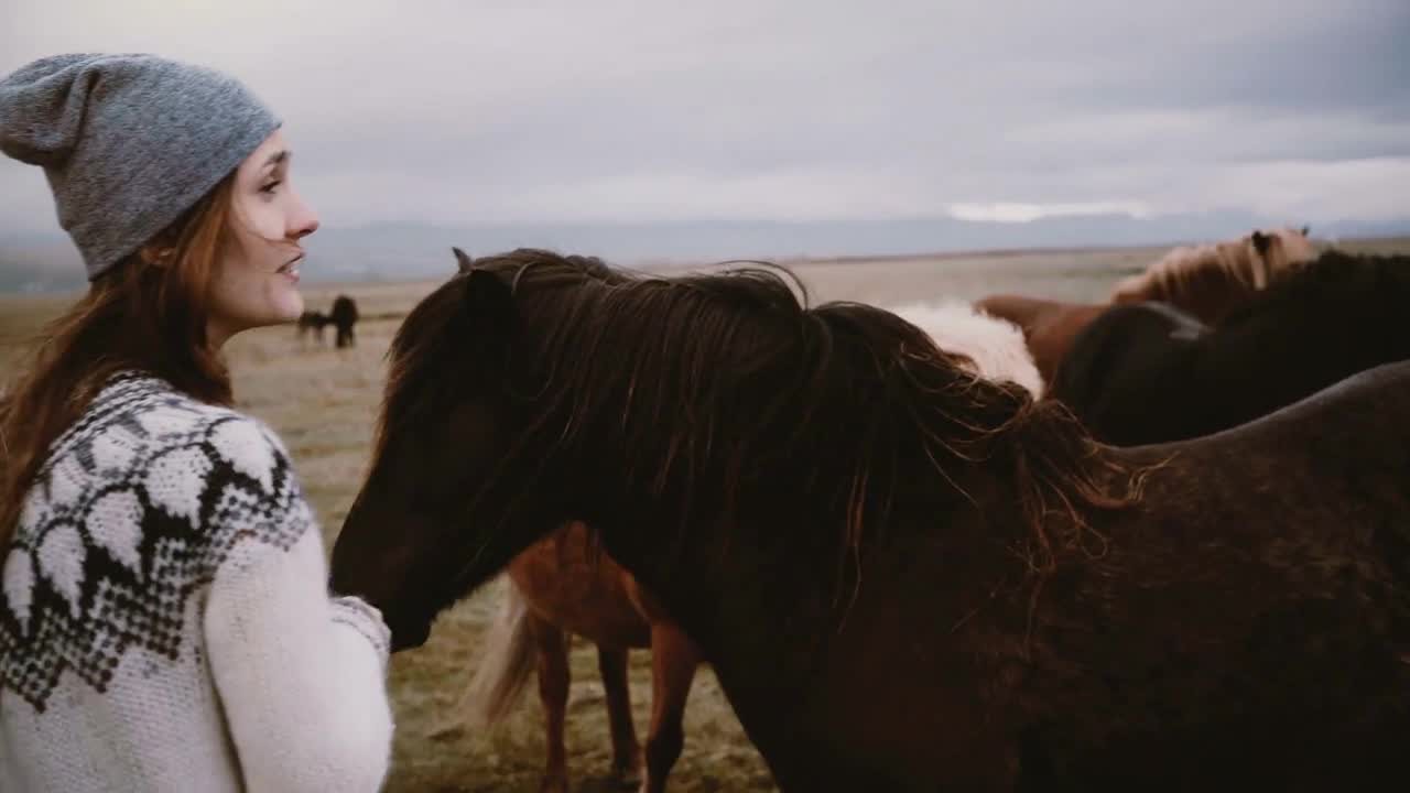 Young woman feeding Icelandic horse grazing on a field in overcast day