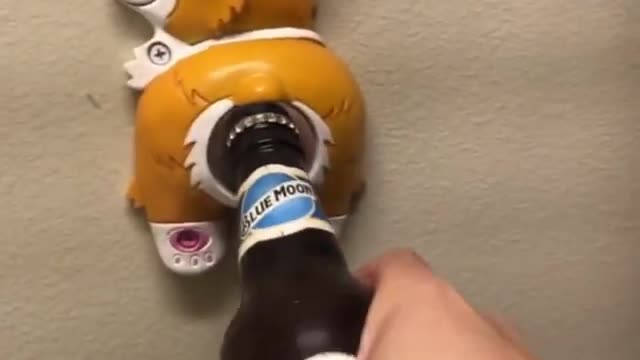 open bottle dogs