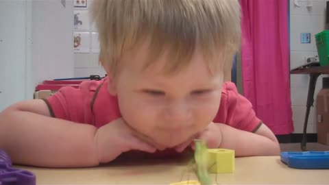 Praying Mantis Tries To Hug Little Boy