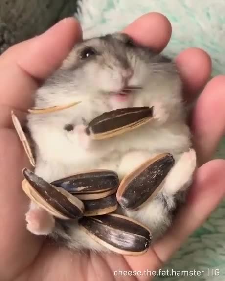 Lunch Time. 🍔🍕