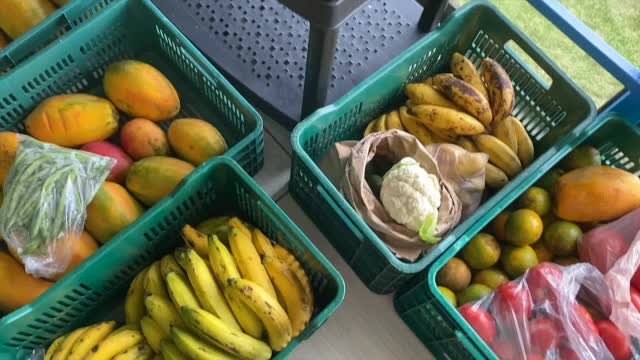 Le marché et ce qu'on mange dans la semaine - crudivores depuis plus de 10 ans