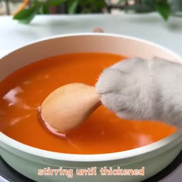 see what will the cat cook today ?