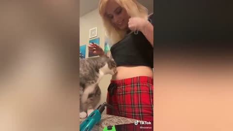 Funniest Cats from TikTok Compilation 😂