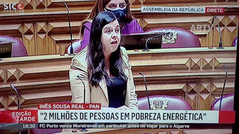 Todos os animais