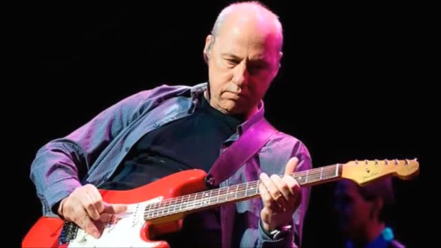 Mark Knopfler Redbud Tree HD