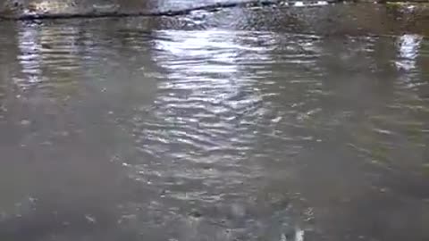 Water main break on Mayfair