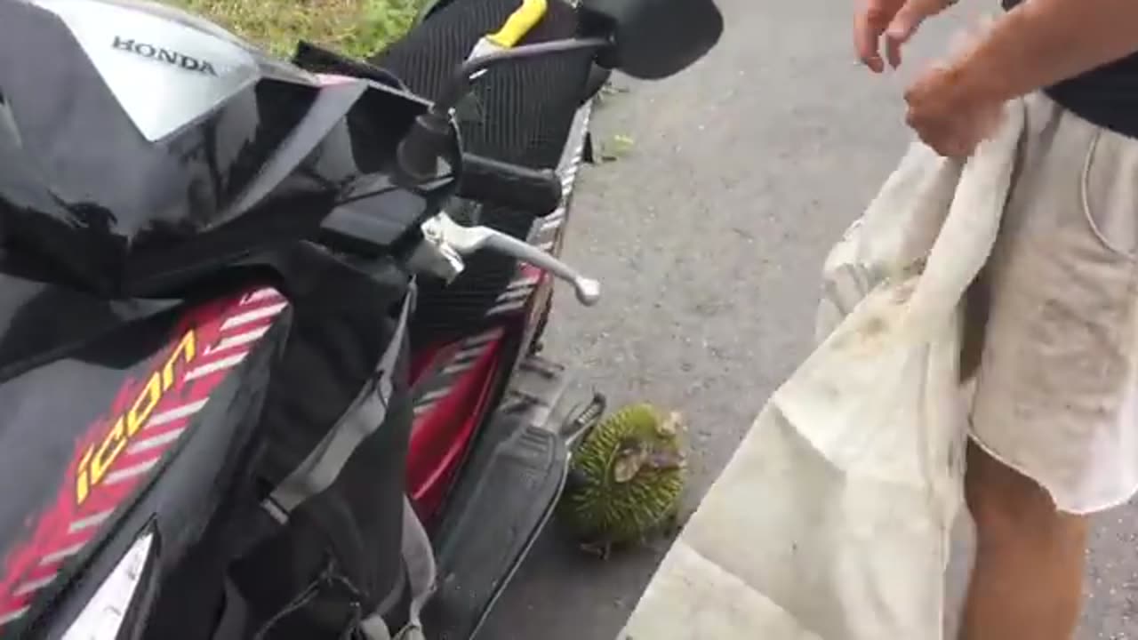 EATING FREE DURIAN IN BORNEO JUNGLE