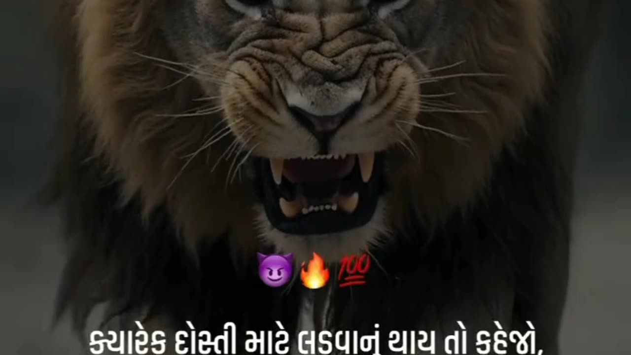 ATTITUDE POWER 🔥🔥