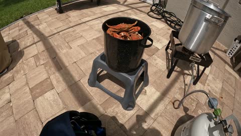 Crabs in July after the 4th