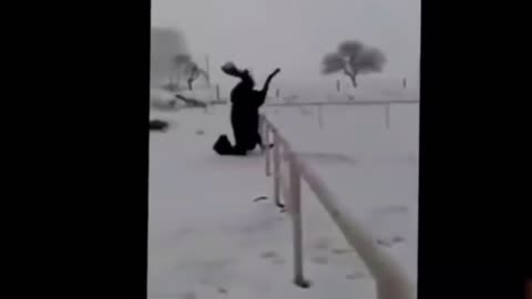 Tội nghiệp em ngựa