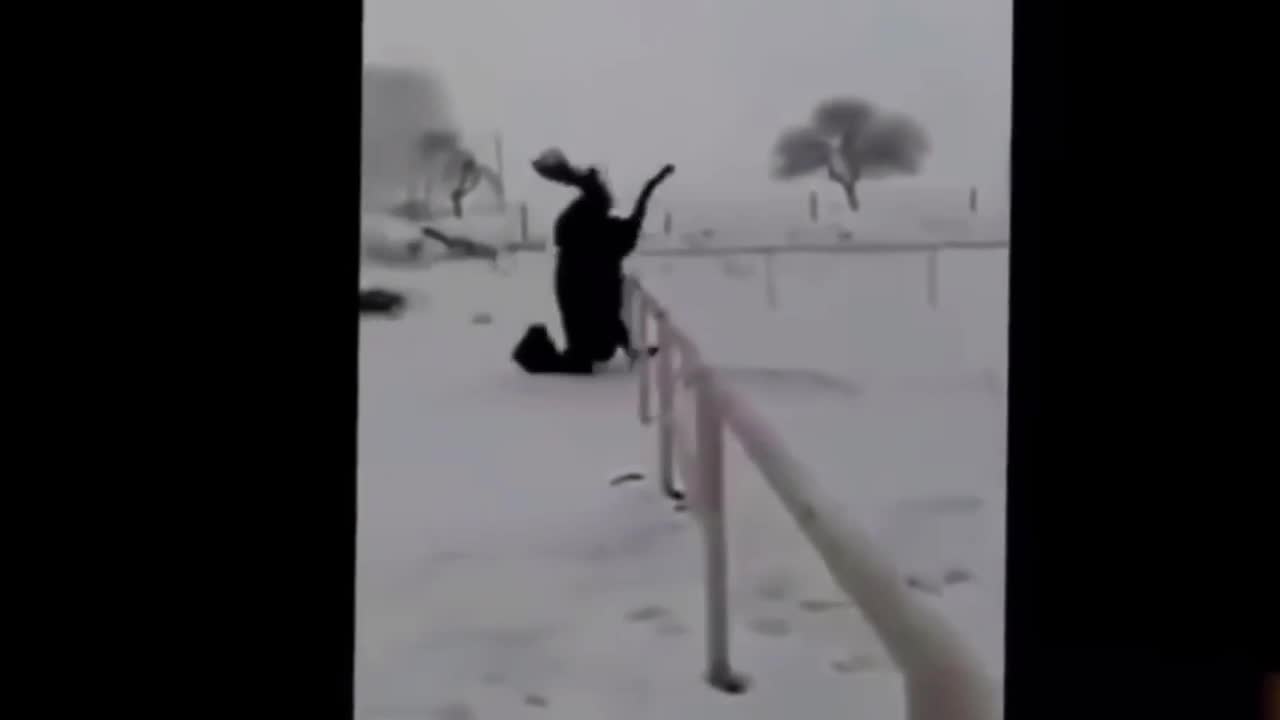 Tội nghiệp em ngựa