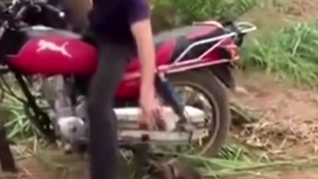 Funniest monkeys compilation 🐒😂
