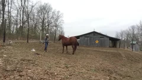 Natalie Marshall - Working Trish's Horse