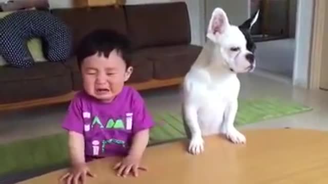 Funny kid with dog