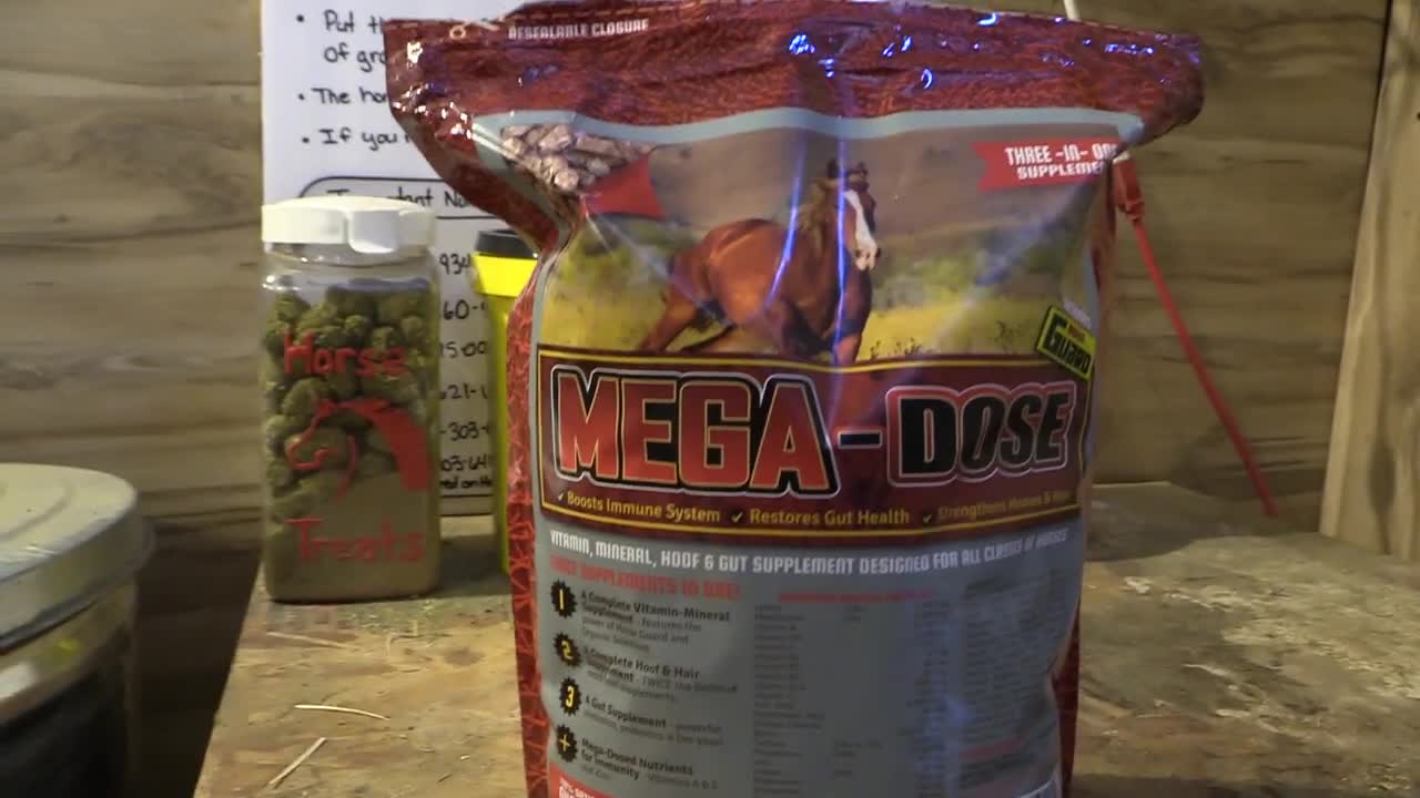 Finding The Best Supplement For My Horse - Mega-Dose Supplement For Horses Review