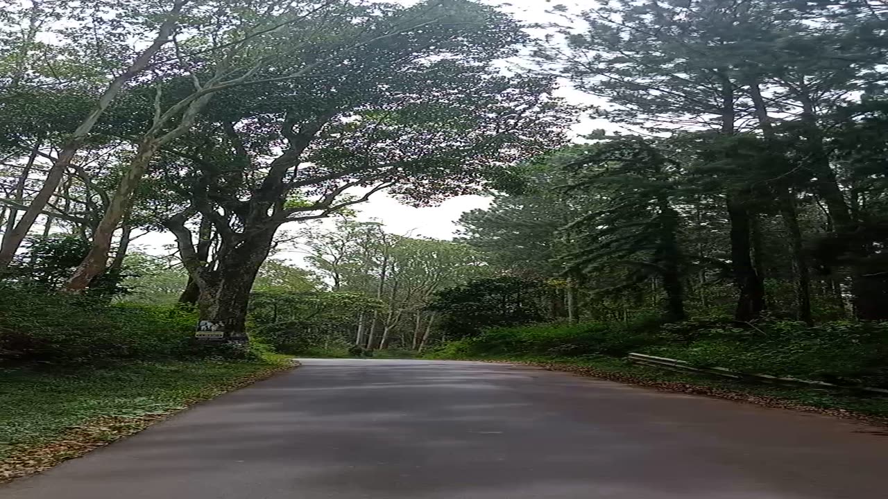 Traveling with nature