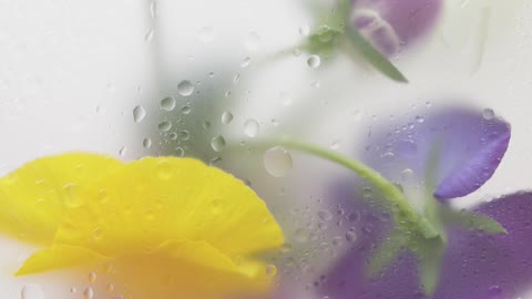 mockup-of-flowers-