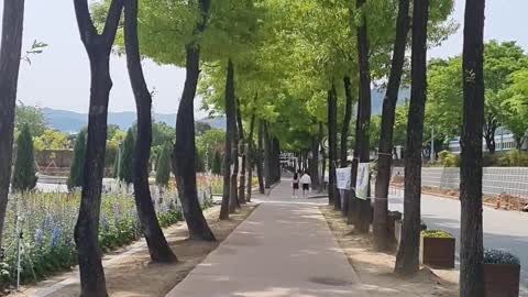 rose park