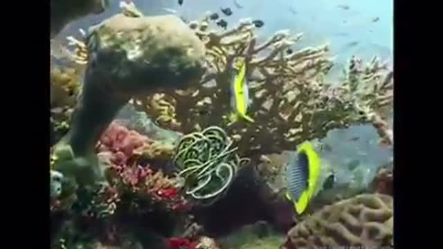 Time with God - June 28