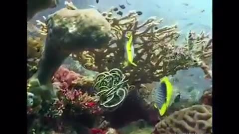 Time with God - June 28