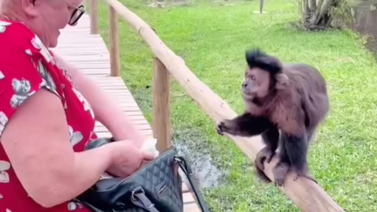 New, fresh, Funny videos for our kids viewers.Watch Till End & Enjoy.