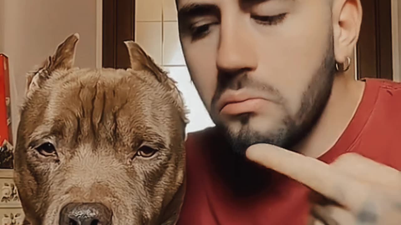 : "Hilarious Animal Encounters: When Pets and Humans Collide! 🤣🐾 | Funny Fails Edition"