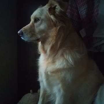 Justin wants to go out side