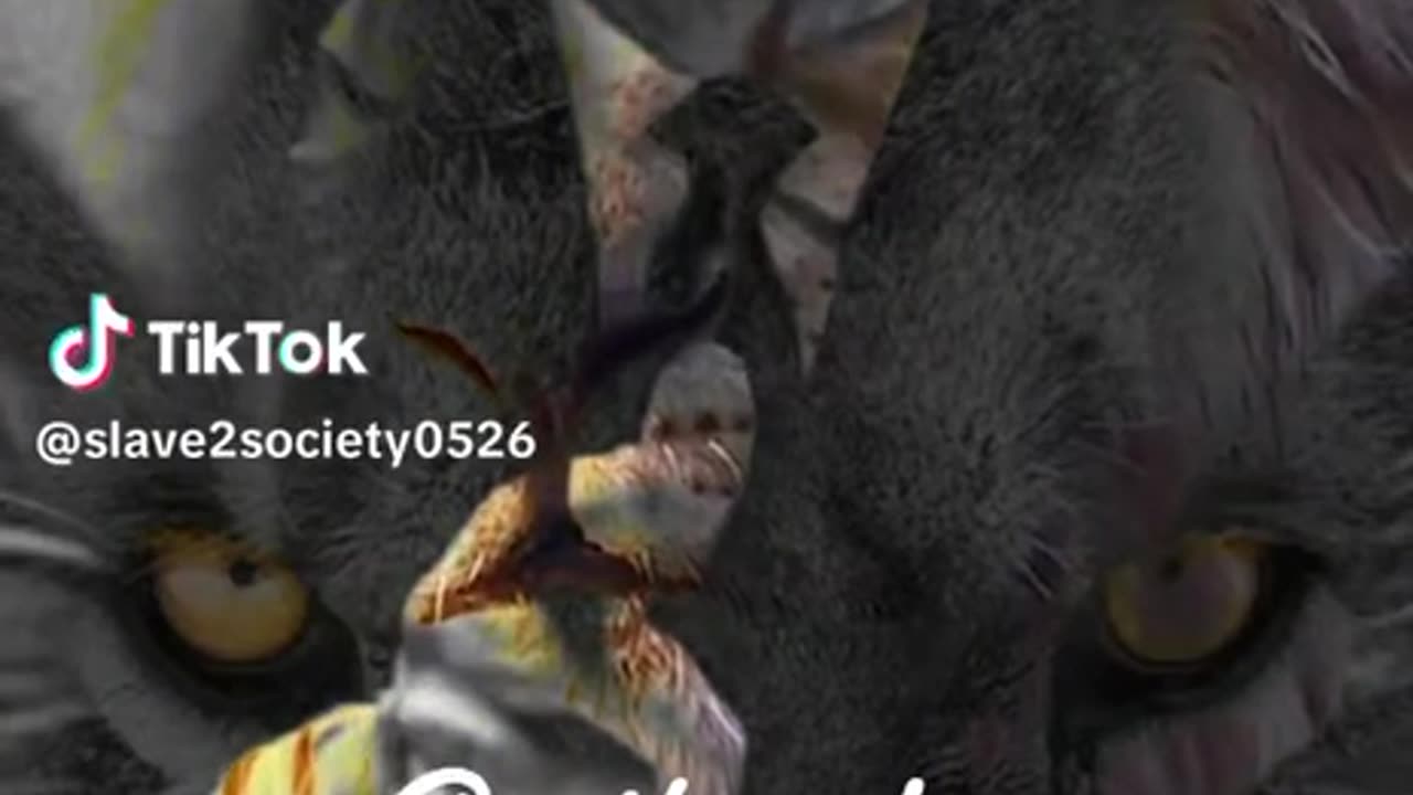 On This Day Slave2Society0526