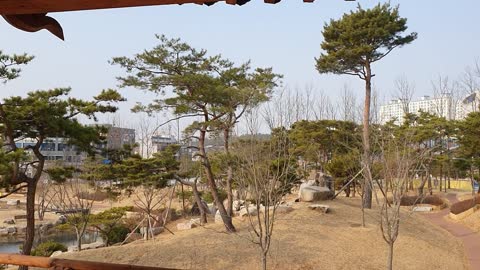 korea Autumn scenery