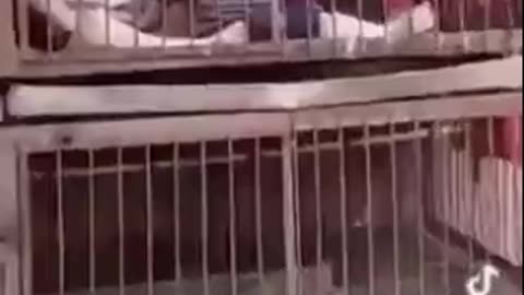 As shown on X: Can this be veryfied?