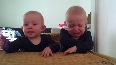 Twins fighting over a toothbrush