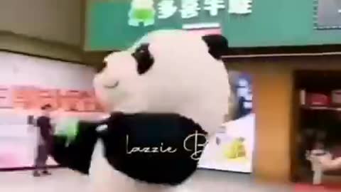 Funny cute panda video ☺️❤️