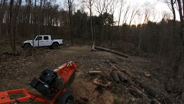 Last Stump Removal for the Day