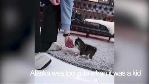 when alaska was a kid（8）