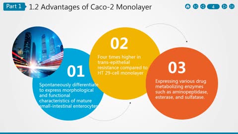 Caco-2 Permeability Assay