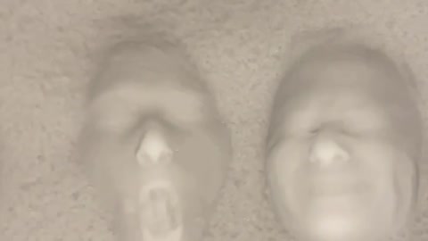Looks like mirror in the Shrek 😄🐕🐶