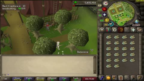 Old School RuneScape - Magic log woodcutting - OSRS