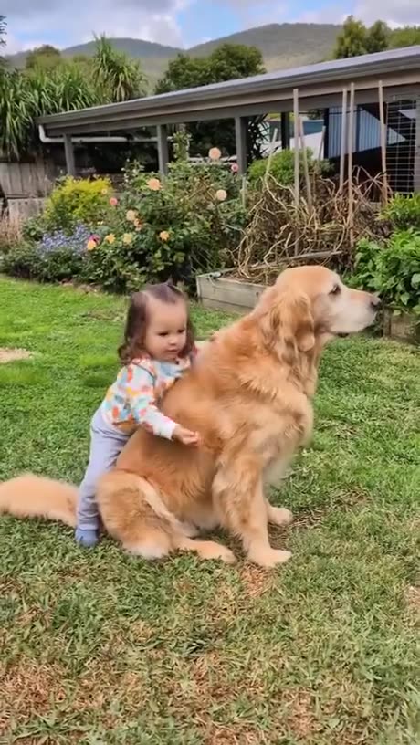 When your big brother is a fluffly giant ❤️💯