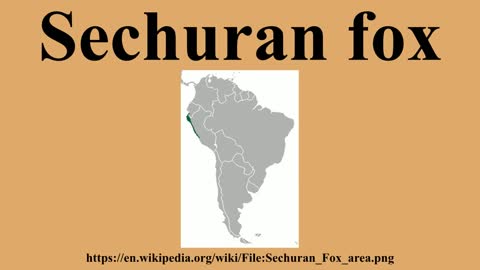 SECHURAN FOX